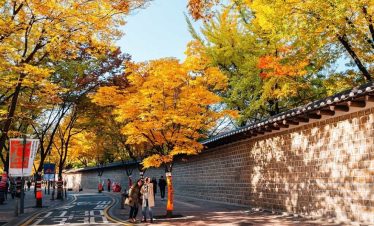 HÀ NỘI – SEOUL – NAMI – STARFIELD – EVERLAND – HÀ NỘI 5 NGÀY 4 ĐÊM