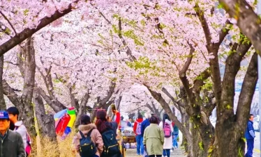 HỒ CHÍ MINH – SEOUL – NAMI – CÔNG VIÊN YEOUIDO –STARFIELD – EVERLAND 5N4D