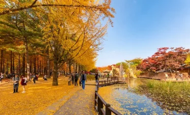 HÀ NỘI – SEOUL – EVERLAND – NAMI – HÀ NỘI 5N4D