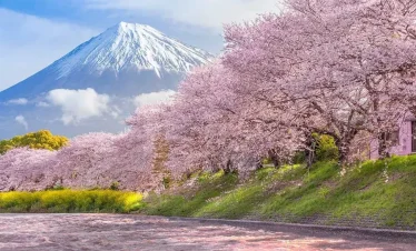 TOKYO – PHÚ SĨ – KYOTO – OSAKA
